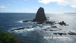 Pesona Pantai Selatan Papuma