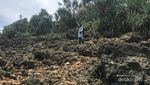 Pesona Pantai Watu Lepek Malang