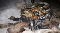 Makan ikan bakar