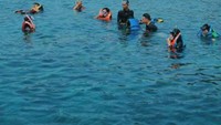 Aktivitas Snorkling di Pulau Pahawang