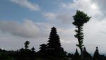 Pesona Pura Tertua Bali yang Melegenda