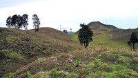 Sabana di Puncak Prau