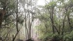 Pesona Sabana Gunung Lawu via Candi Cetho