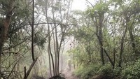 Jalur pendakian via Candi Ceto