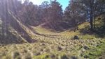 Pesona Sabana Gunung Lawu via Candi Cetho