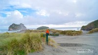 Wharariki beach