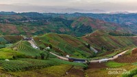 Pemandangan Objek Wisata Terasiring Panyaweuyan