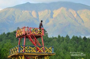 Pesona Tersembunyi Hutan Pinus Kragilan di Magelang