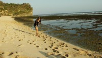 Pasir Putih Pok Tunggal