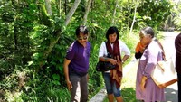 Menanti durian pilihan