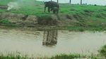 Petualangan Akhir Pekan Bersama Gajah Way Kambas
