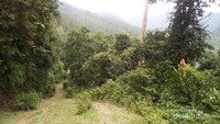 Bukit yang dilalui sebelum sampai ke Air terjun Batu Dinding
