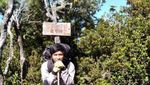 Petualangan ke Gunung Dempo di Pagaralam