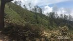 Petualangan Luar Biasa ke Gunung Ijen