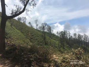Petualangan Luar Biasa ke Gunung Ijen