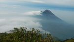 Petualangan Mendaki Gunung Merbabu Lewat Jalur Selo