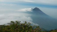 Gunung Merapi terlihat dari puncak Merbabu