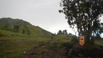 Petualangan Mendaki Gunung Merbabu Lewat Jalur Selo
