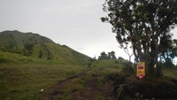 Sabana 1 Gunung Merbabu