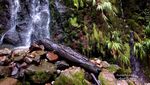 Petualangan Mendebarkan ke Curug Sewu di Bogor