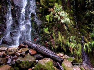 Petualangan Mendebarkan ke Curug Sewu di Bogor
