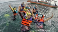 Snorkeling Ceria
