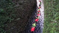 Arus sungai yang menyerupai kolam arus di Sungai Citumang (Sumber: dhiiesmile.blogspot.com)