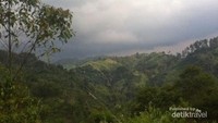 Pemadangan sekitar air terjun