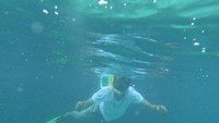 Snorkeling