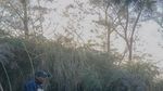 Petualangan Singkat di Banyuwangi