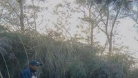 Taxi bertenaga manusia di Gunung Ijen