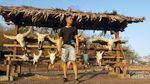 Petualangan Singkat di Banyuwangi