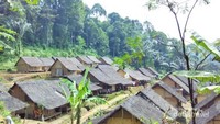 Desa suku Badui yang asri dan damai