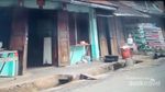 Phongsali, Surga Tersembunyi di Laos Utara