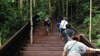 Tangga untuk mencapai Puncak Piaynemo