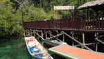 Piaynemo, Bukti Pariwisata Raja Ampat yang Terus Berbenah