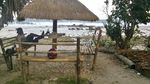 Pidaan, Pantai Cantik untuk yang Berlibur ke Pacitan