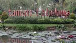 Piknik Akhir Pekan di Jakarta Selatan
