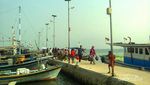 Piknik ke Pulau Panjang Banten, meski Terbatas Tapi Seru!
