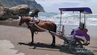 MAU NAIK DELMAN DI PANTAI ? HANYA DI PARANGTRITIS !