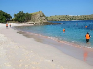 Pink Beach, Pantai Cantik dengan Pasir Merah Muda di Flores