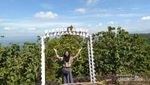 Pintu Langit di Yogyakarta