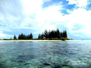Pohon Cemara Udang, Penangkal Mentari di Pulau Gata-Gata