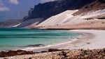 Pohon-pohon Lucu di Pulau Socotra, Yaman