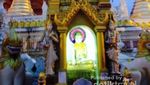 Pohon Sang Buddha di Pagoda Shwedagon, Myanmar