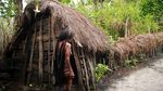 Potong Jari & Daun Telinga, Inilah Tradisi Unik Suku Dani