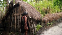 Walaupun usianya yang telah renta, Yosina masih tetap semangat. Sedari subuh dia telah sibuk di depan rumah babi untuk memberi mereka pakan.