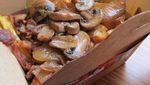 Poutine, Makanan Khas Kanada yang Yummy Banget!