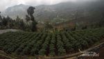 Prau, Gunung yang Selalu Bikin Rindu