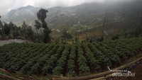 Perjalanan menuju ke camp